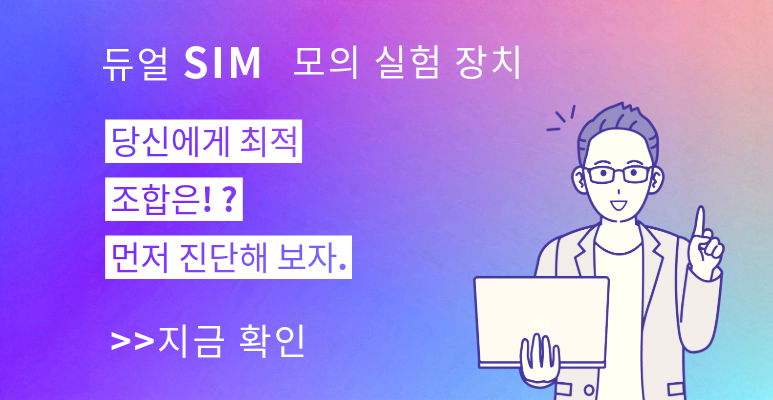듀얼 SIM 모의 실험 장치